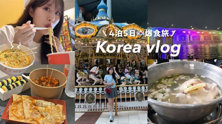 母娘で行く4泊5日の韓国旅行🇰🇷漢江ラーメン,タッカンマリ,ロッテワールド,明洞,狎鴎亭ロデオなどなど… 大充実の旅🍜🛍️🍗【韓国vlog】