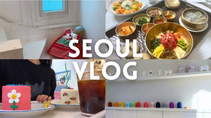 ENG)母との韓国vlog |江南で肉|ケーキ|美容|肉|五つ星ホテル3泊4日（2024.02）🇰🇷