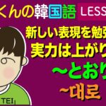 韓国語Lesson_175【〜とおり】新しい表現を勉強すると実力は上がります！