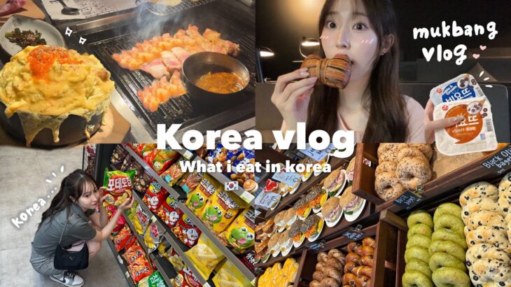 【Vlog】２泊３日の韓国旅行✈️🇰🇷BTSも通う超有名店に行く🍖胃袋も物欲も大満足させるモデルプラン！📝💕旅行で使える韓国語🗣️😂