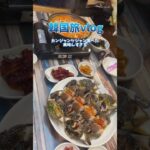 アラサーの韓国旅vlog、アニメイトとか食べ物とかなんやら