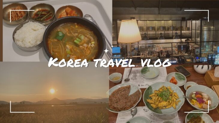 韓国旅行vlog:ep1.初めての順天旅行、韓国サービスエリア、順天湾湿地、国家公園、どんぐり料理、韓国通による旅行の始まり