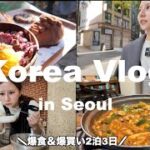 【韓国旅行🇰🇷】2泊3日秋冬のKoreaVlog🇰🇷韓国グルメ爆食!初韓国でも安心ガイド|明洞|東大門|広蔵市場|仁寺洞|安国ーオススメホテル・購入品紹介🙆‍♀️Korea,Seoul