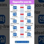 Korean Opposite Words: Expand Your Vocabulary! ep.1🤯 #learnkorean