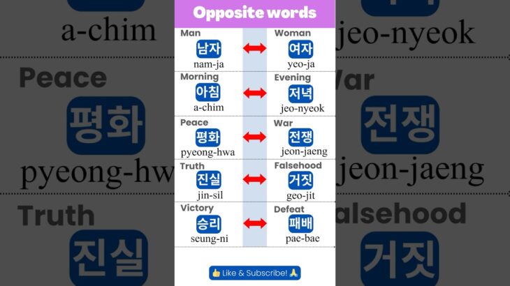 Korean Opposite Words: Expand Your Vocabulary! ep.1🤯 #learnkorean