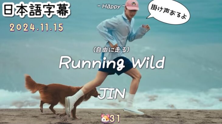 【Running Wild】JIN 和訳/カナルビ/掛け声