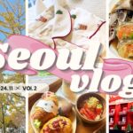 〔Vlog〕2024.11🍂 韓国🇰🇷ソウル2泊3日！Vol.2♡ 東大門日曜市￤カンジャンケジャン🦀￤クレープ👨🏼‍🦳￤延南洞🐈￤クリスマスイルミネーション🎄🎅🏻´-￤龍山ドトリ🍓