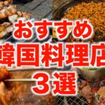 【韓国旅行🇰🇷】韓国料理おすすめなお店３選！/狎鴎亭にあるペッコドン/明洞にある新カルビ/東大門にある河南テジチッ/海鮮、ドラム缶焼肉、サムギョプサルが食べたい人おすすめです！