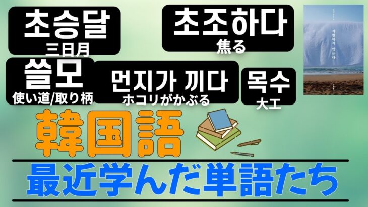 韓国語学習者が最近覚えた韓国語の単語たち