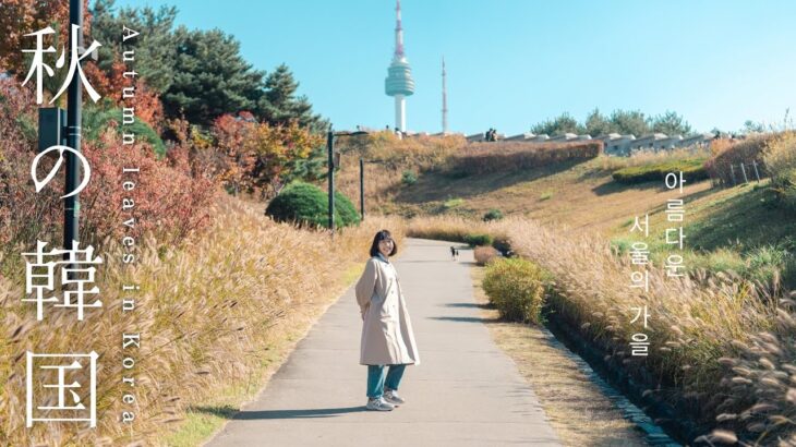 【韓国旅行】２日間でソウルを味わう、ノスタルジックな旅｜南大門市場、聖水洞、昌徳宮、ロッテマート