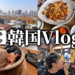 【韓国旅行】これが俺の歩き方。最高に楽しむなら見るしかないwww #韓国 #vlog