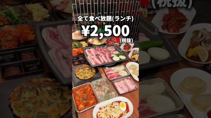 【激安】韓国料理食べ放題が2,500円！？【新大久保】