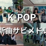 【最新】K-POPサビメドレー2024🇰🇷😎