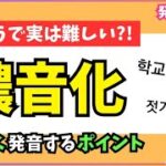 🔰独学の方必見、＜発音変化⑥濃音化＞簡単な覚え方【韓国語｜入門者｜初級者】