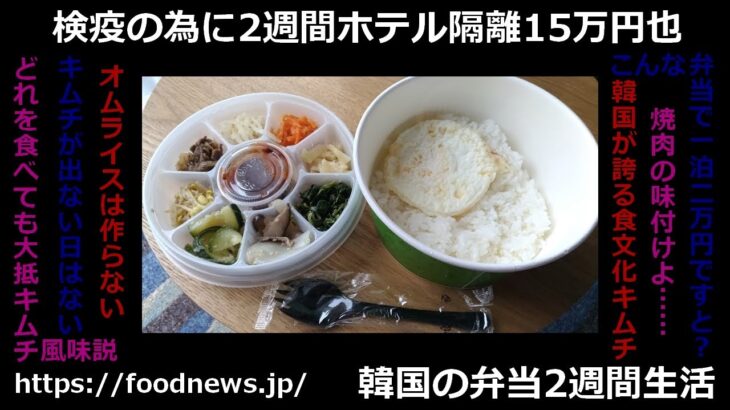 韓国の弁当ってどんなだろう？ #弁当 #韓国 #韓国料理