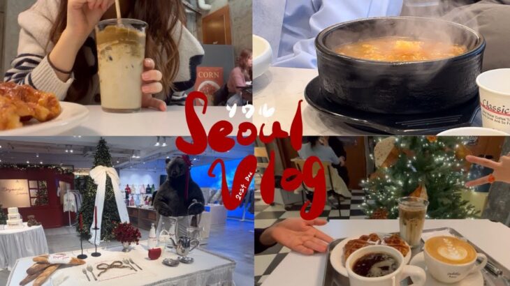 [vlog] 親子韓国旅行 day1🎄明洞の美味しいサムギョプサル🐷新沙の可愛すぎるカフェ☕️🤍バスの乗り方も🚌