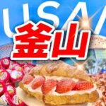 【韓国旅行🇰🇷】初めての釜山1泊2日モデルコース‼️お買い物,韓国グルメ,食べてお洒落カフェ満喫旅！南浦/チャガルチ市場/ ロッテマート/ハナロマート