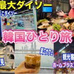 【韓国旅行】観光客いないNew最大級ダイソーに潜入🤗スーパーで買い物！お洒落なカフェ2軒！カロスキル/夜ご飯/ホームプラス