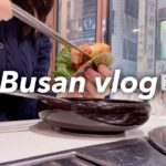 音声あり）冬の韓国釜山vlog🇰🇷｜3泊4日お洒落カフェ巡り☕️｜韓国グルメおすすめ🍚｜Korea trip in Busan vlog