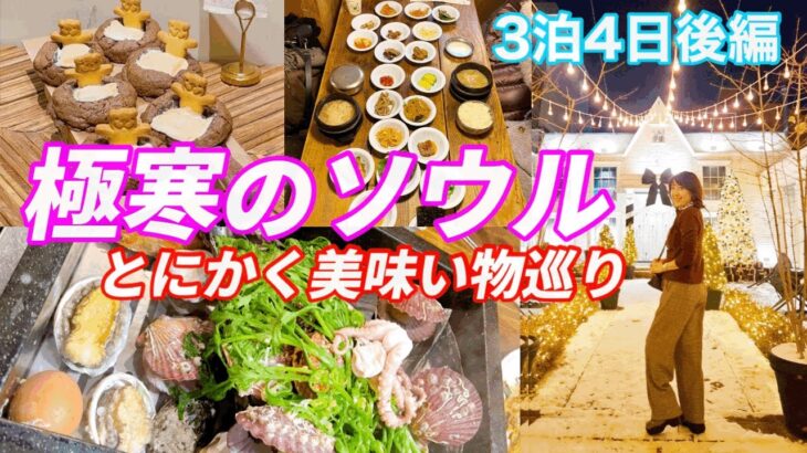 【韓国旅行】超大盛り貝鍋！20種類のおかず韓定食、聖水の森夜カフェ！グルメ尽くし@ajunmatv