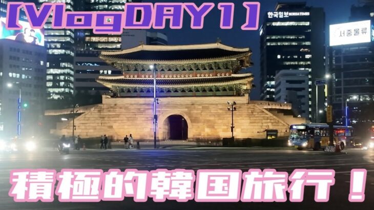 【1日目】積極的韓国旅行Vlog！/羽田～韓国初日まで！/明洞の景色に感激！