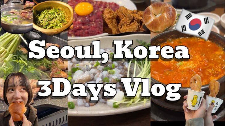 Seul, Korea 3 Days Vlog🇰🇷 韓国旅行２泊３日！！