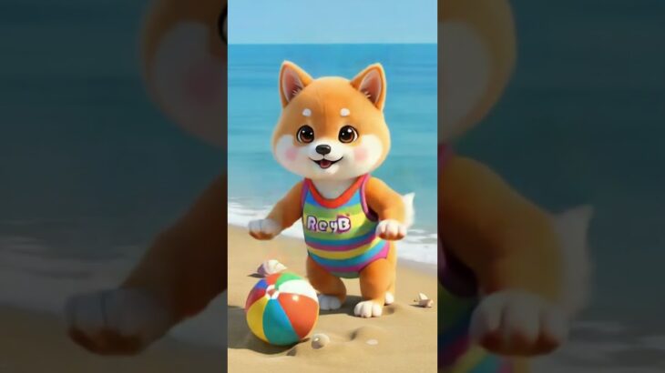 韓国・ヤンヤンで夏のサーフィン体験！#ヤンヤンサーフィン #韓国夏旅行 #サーフィン体験 #夏の海 #ショート動画