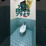 なぜトイレで写真を撮るのですか？#写真