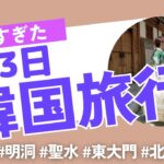 【vlog】韓国2泊3日の思い出を4分半に凝縮しました。