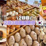 【韓国旅行vlog】Part②/2泊3日渡韓🇰🇷安国.狎鴎亭エリア/ArtistBakery🥐/山清🐷etc…人気グルメ堪能する日
