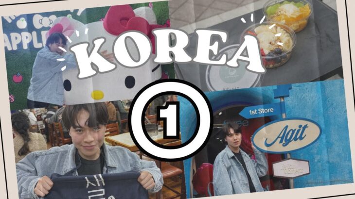 【1日目】韓国旅行〜入国編〜まじこの日なにもしてない【vlog】