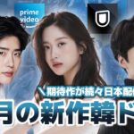 【配信予定】7月に日本で見れる全韓国ドラマ🇰🇷まとめ📝🍉🌻【Netflix/U-NEXT/Amazonプライム/Disney＋】