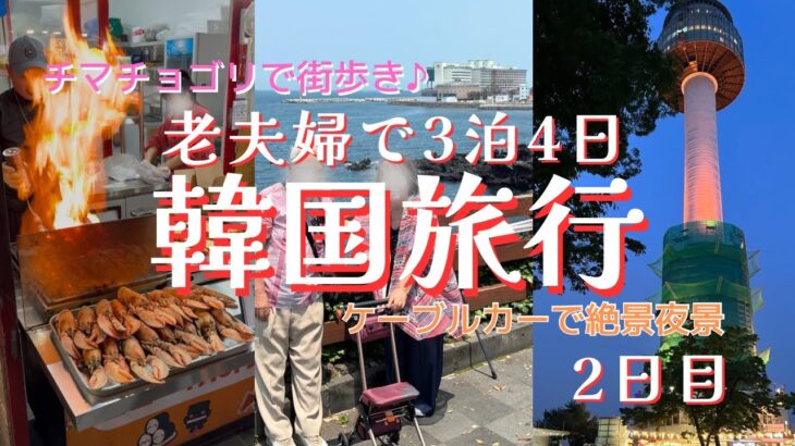 【83歳・韓国旅行】シルバーカーでチマチョゴリと南山タワー🦽