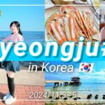 [Korea Vlog]韓国の古都慶州Vlog part2 浦項市(ポハン)にある観光地に行ってきました！한국경주여행 part2 포항시에있는 명소를 다녀왔습니다 !