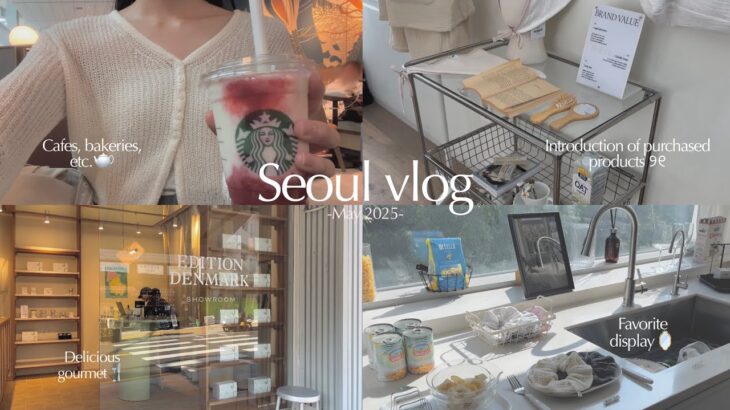 Seoul vlog.2泊3日韓国旅行🫖ｶﾌｪ,ｸﾞﾙﾒ,雑貨屋巡り,買い物,朝活から購入品紹介までお気に入りを集める休日⛅️聖水,ｿｳﾙの森,安国,明洞