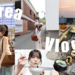 【韓国Vlog】2泊３日の旅🇰🇷オリヤン購入品/ショッピング/現地グルメ