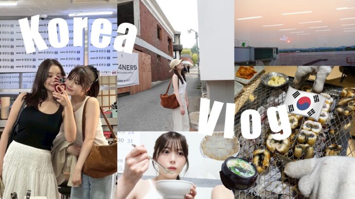 【韓国Vlog】2泊３日の旅🇰🇷オリヤン購入品/ショッピング/現地グルメ