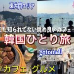 【韓国旅行】旅行本にはない最高韓国を感じれるカフェ🥰自由なひとり旅😉！釜飯/カロスキル/gotomall/高速ターミナル/東大門