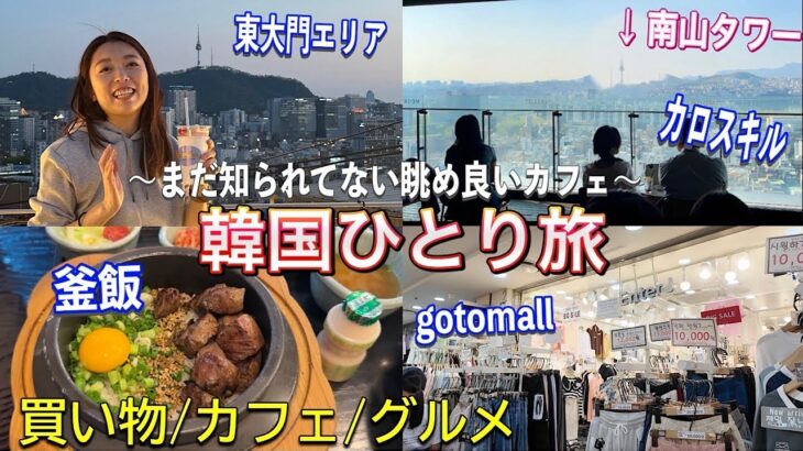 【韓国旅行】旅行本にはない最高韓国を感じれるカフェ🥰自由なひとり旅😉！釜飯/カロスキル/gotomall/高速ターミナル/東大門