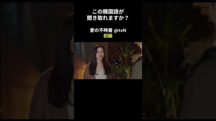 この韓国語が聞き取れますか？ #ヒョンビン #ソン･イェジン #韓国語講座 #韓ドラ #愛の不時着 #韓国ドラマ #聞き取り #韓流 #リスニング #ネトフリ #netflix