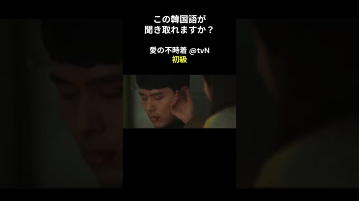 この韓国語が聞き取れますか？ #ヒョンビン #ソン･イェジン #韓国語講座 #韓ドラ #愛の不時着 #韓国ドラマ #聞き取り #韓流 #リスニング #ネトフリ #netflix