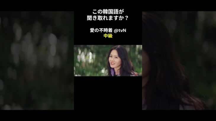 この韓国語が聞き取れますか？ #ヒョンビン #ソン･イェジン #韓国語講座 #韓ドラ #愛の不時着 #韓国ドラマ #聞き取り #韓流 #リスニング #ネトフリ #netflix