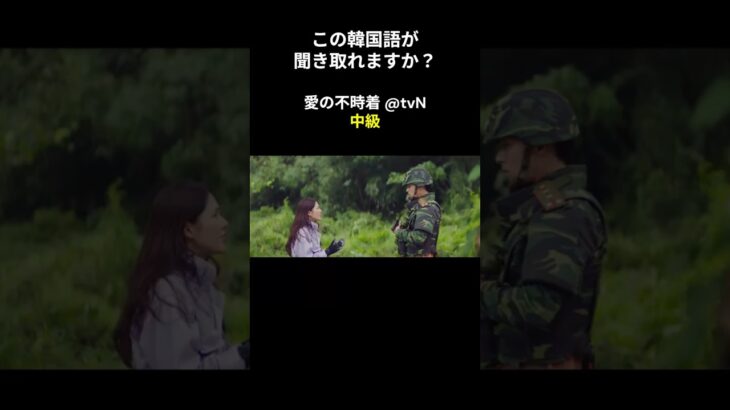 この韓国語が聞き取れますか？ #ヒョンビン #ソン･イェジン #韓国語講座 #韓ドラ #愛の不時着 #韓国ドラマ #聞き取り #韓流 #リスニング #ネトフリ #netflix