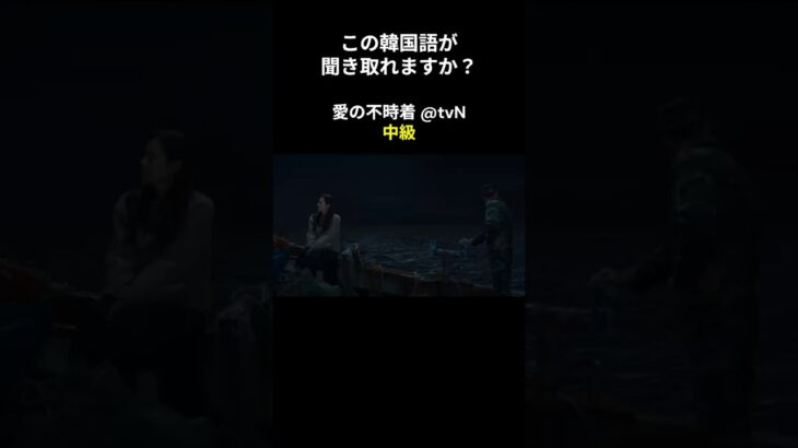 この韓国語が聞き取れますか？ #ヒョンビン #ソン･イェジン #韓国語講座 #韓ドラ #愛の不時着 #韓国ドラマ #聞き取り #韓流 #リスニング #ネトフリ #netflix
