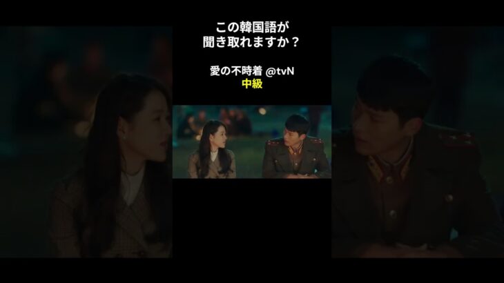 この韓国語が聞き取れますか？ #ヒョンビン #ソン･イェジン #韓国語講座 #韓ドラ #愛の不時着 #韓国ドラマ #聞き取り #韓流 #リスニング #ネトフリ #netflix
