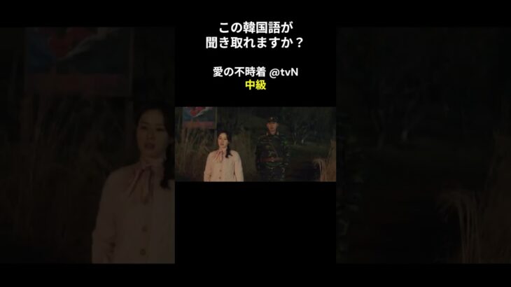 この韓国語が聞き取れますか？ #ヒョンビン #ソン･イェジン #韓国語講座 #韓ドラ #愛の不時着 #韓国ドラマ #聞き取り #韓流 #リスニング #ネトフリ #netflix