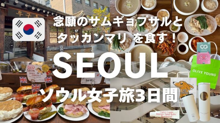 sub【韓国旅行Vlog】念願のサムギョプサルと、タッカンマリを食す！人気の新スポットをめぐる ソウル女子旅3日間 / 明洞 / 聖水 / 漢南洞 /東大門 / 安国 / 益善洞 / 汝矣島