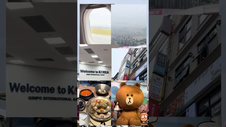 #vlog #社会人 #韓国旅行 #韓国 #タッカンマリ #女子旅