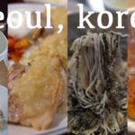 【韓国旅行vlog】ソウルでひとりご飯ができる人気グルメ30軒巡り！