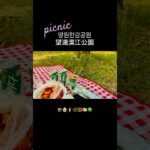【ソウル女子旅】漢江ピクニック×望遠市場で1日まるっと癒され旅🌿🧺